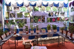 Siddha Herbal Expo