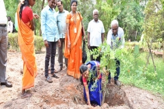 Planting Saplings by Director General Prof. Dr. K. Kanakavalli