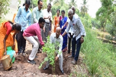 Planting Saplings by Prof. Dr. G. Veluchamy