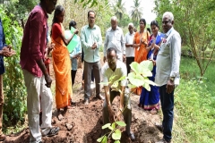 Planting Saplings by Prof. Dr. G. Ganapathy